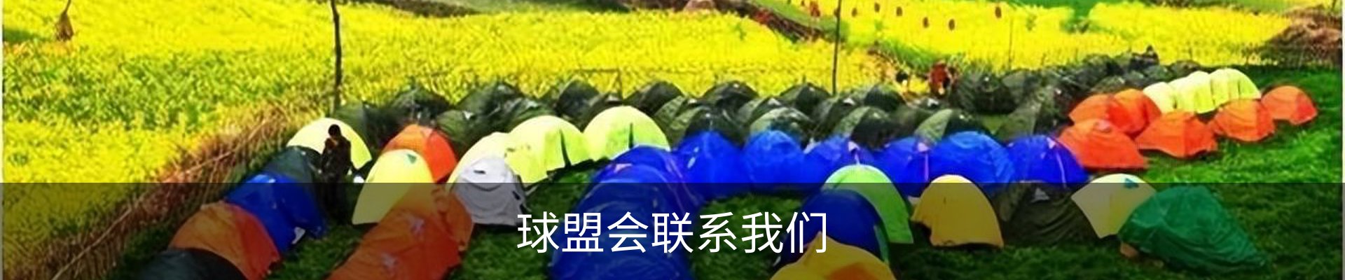 球盟会联系我们